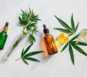 CBD oil for dogs: How to buy the best products?