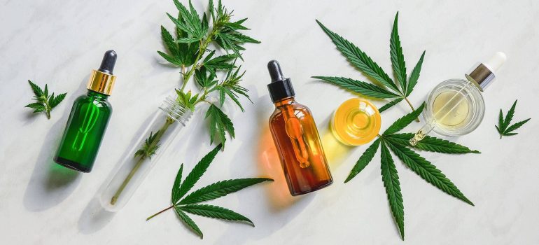CBD oil for dogs: How to buy the best products?